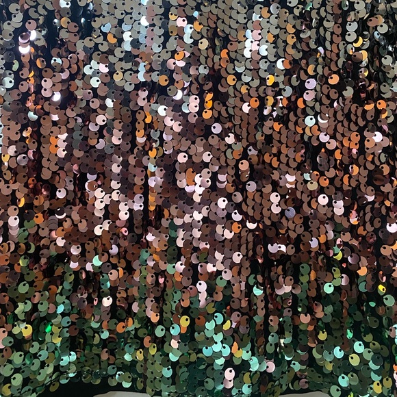 Long Sleeve Sequin Windsor Dress - Picture 3 of 4